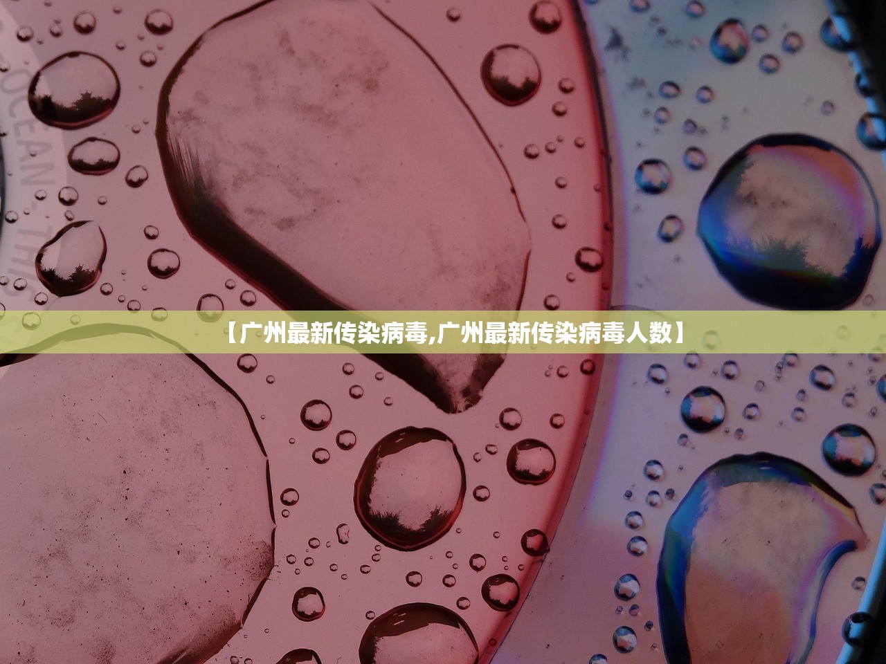 【广州最新传染病毒,广州最新传染病毒人数】