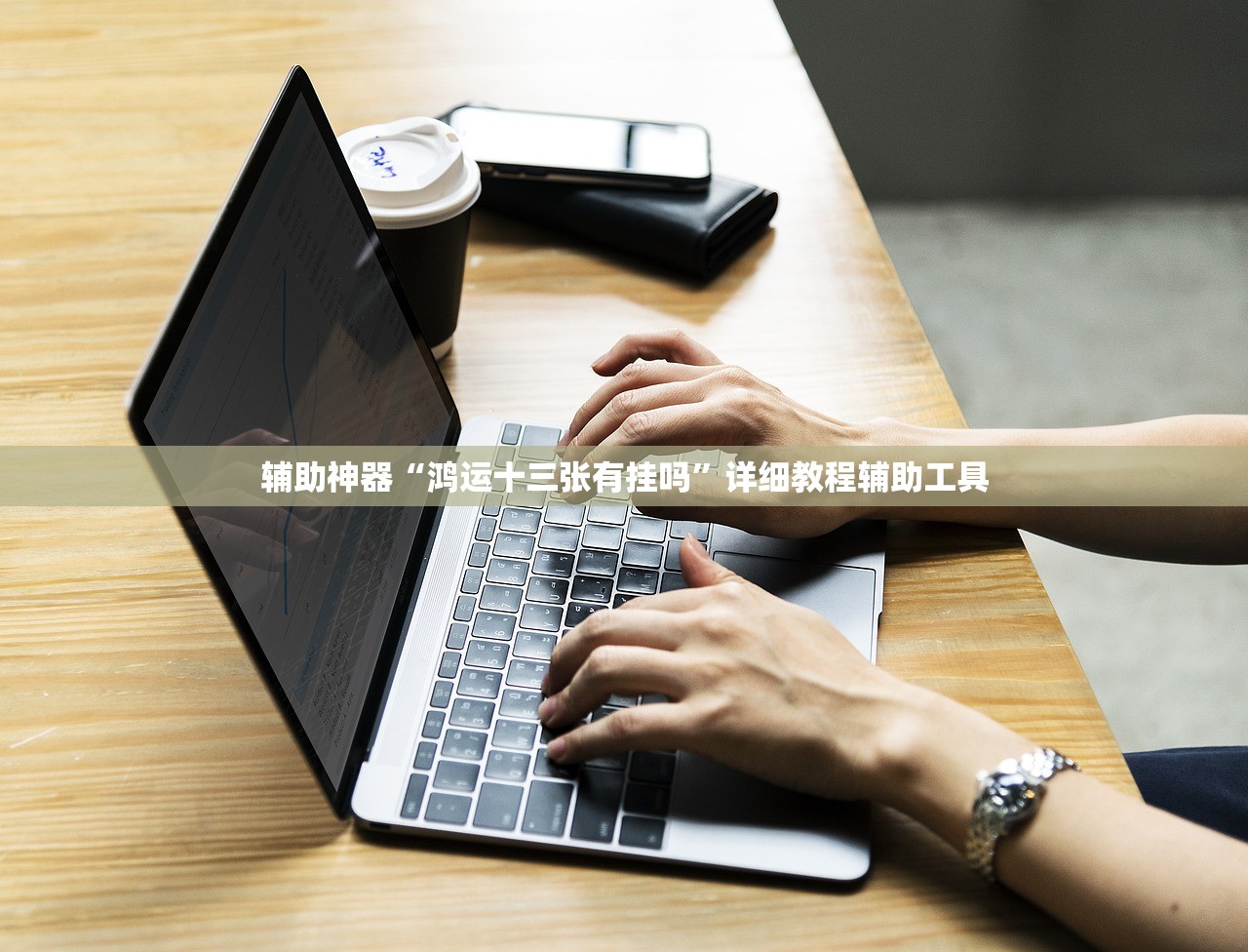 辅助神器“鸿运十三张有挂吗”详细教程辅助工具