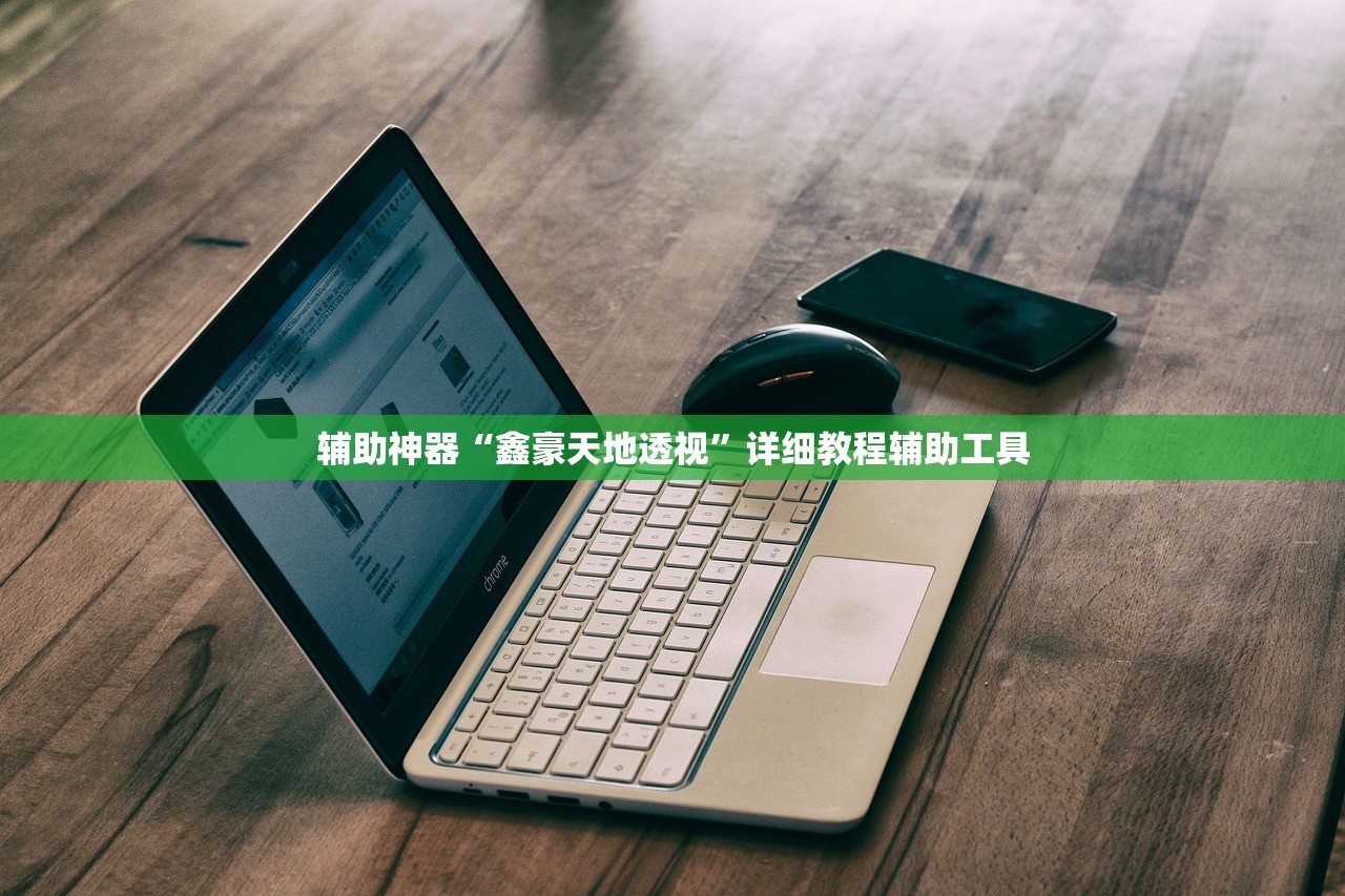 辅助神器“鑫豪天地透视”详细教程辅助工具