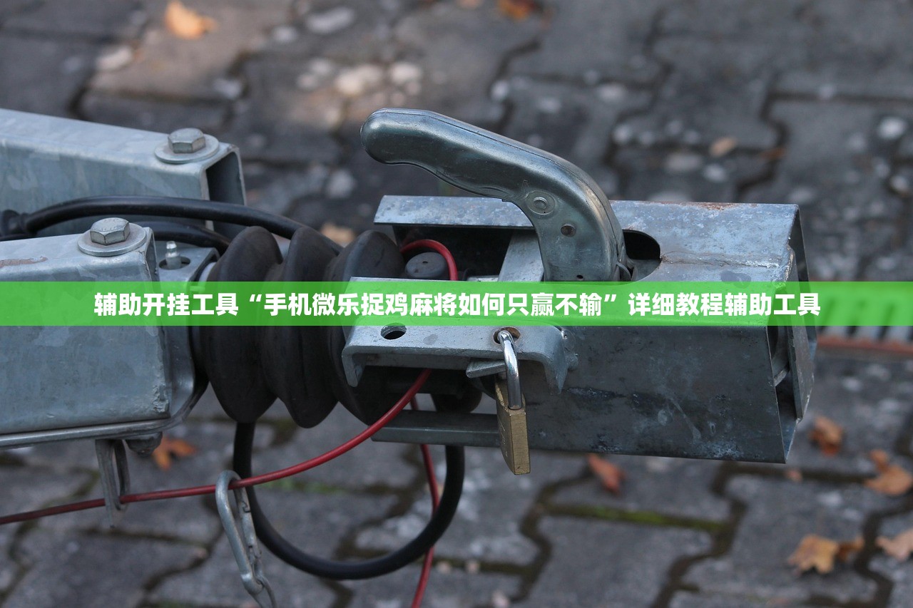 辅助开挂工具“手机微乐捉鸡麻将如何只赢不输”详细教程辅助工具