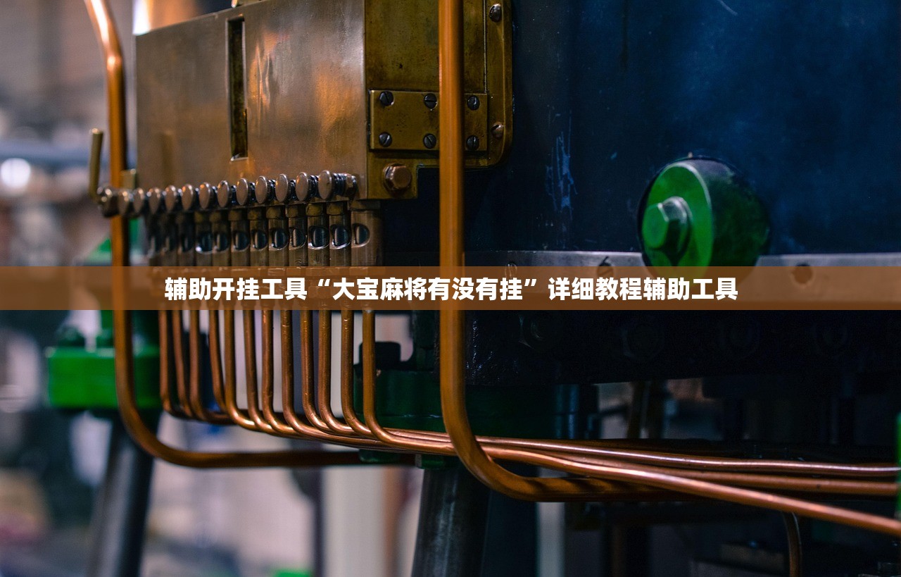 辅助开挂工具“大宝麻将有没有挂”详细教程辅助工具