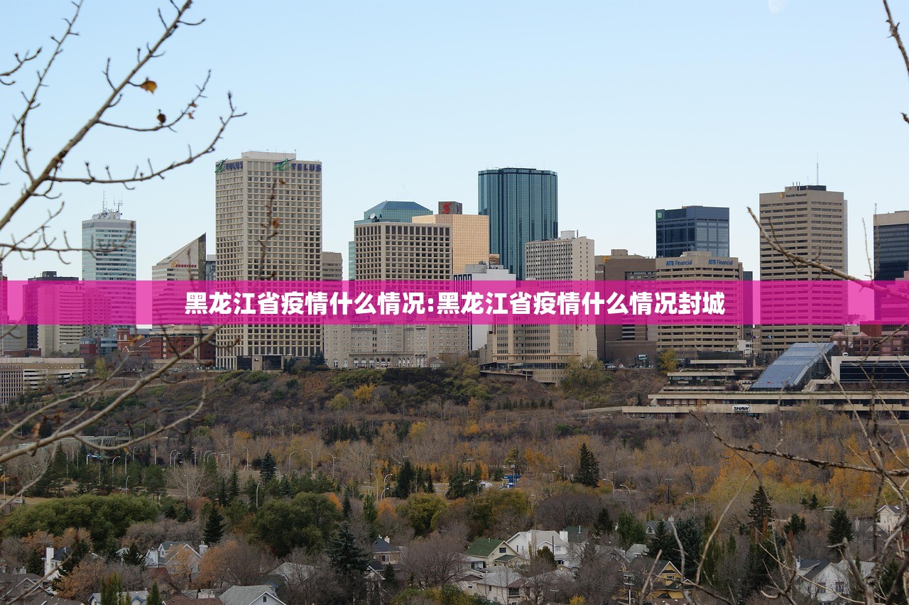 黑龙江省疫情什么情况:黑龙江省疫情什么情况封城