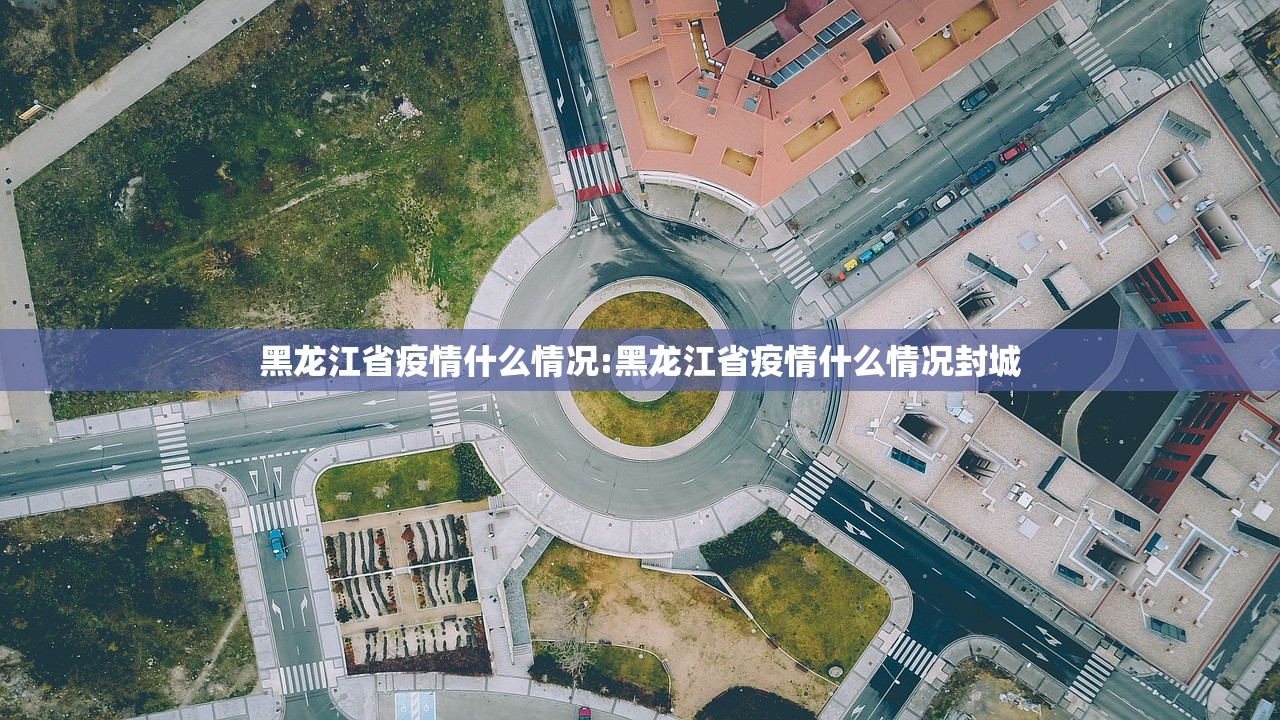 黑龙江省疫情什么情况:黑龙江省疫情什么情况封城