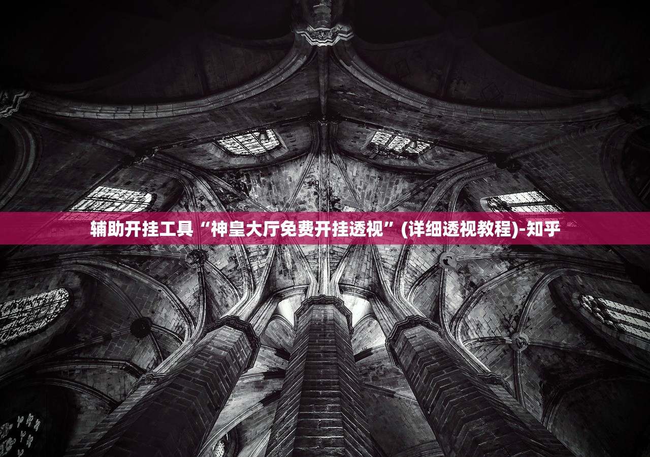 辅助开挂工具“神皇大厅免费开挂透视”(详细透视教程)-知乎