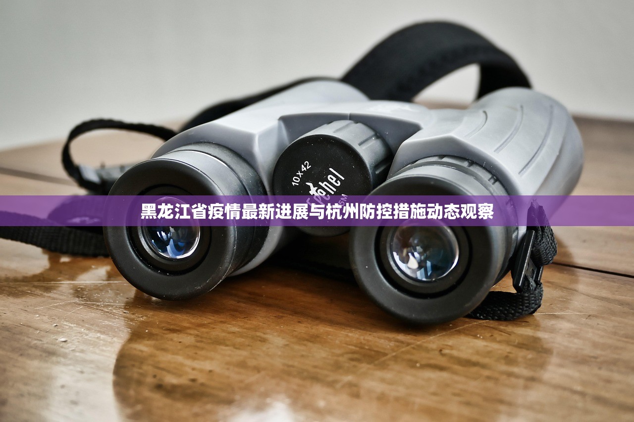 黑龙江省疫情最新进展与杭州防控措施动态观察