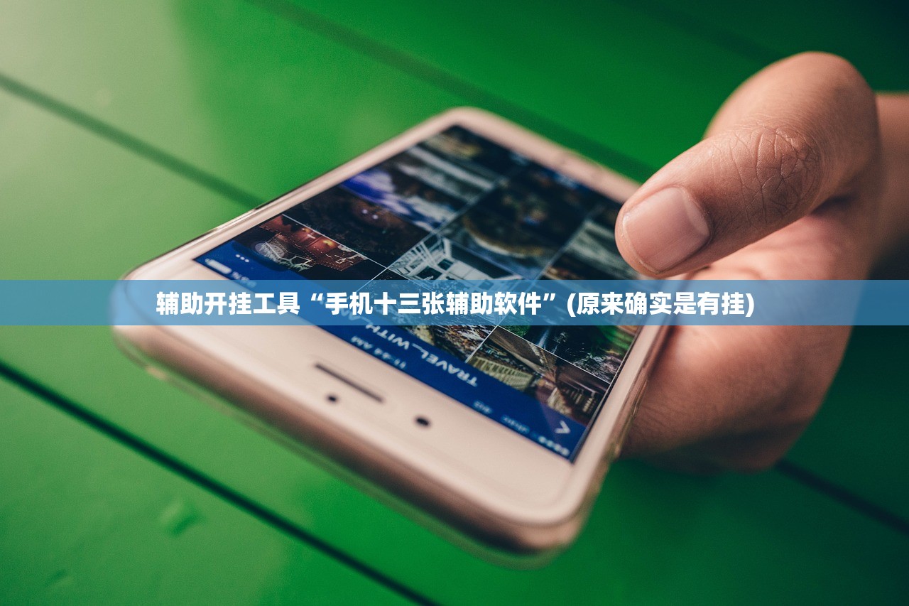 辅助开挂工具“手机十三张辅助软件”(原来确实是有挂)