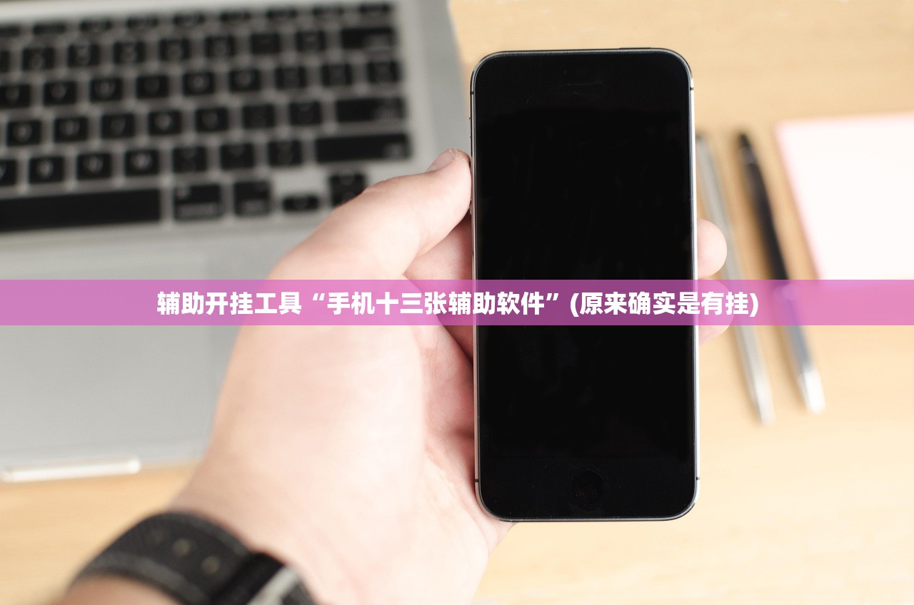辅助开挂工具“手机十三张辅助软件”(原来确实是有挂)