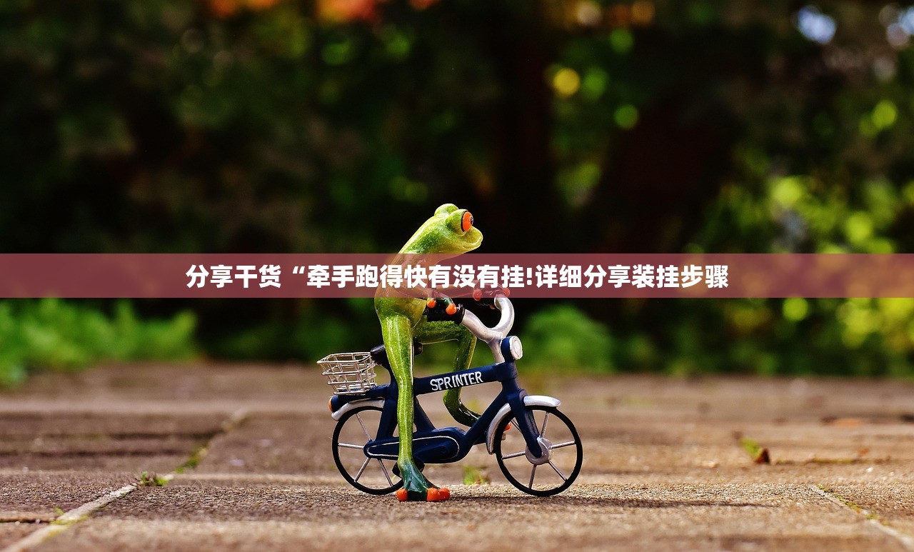 分享干货“牵手跑得快有没有挂!详细分享装挂步骤