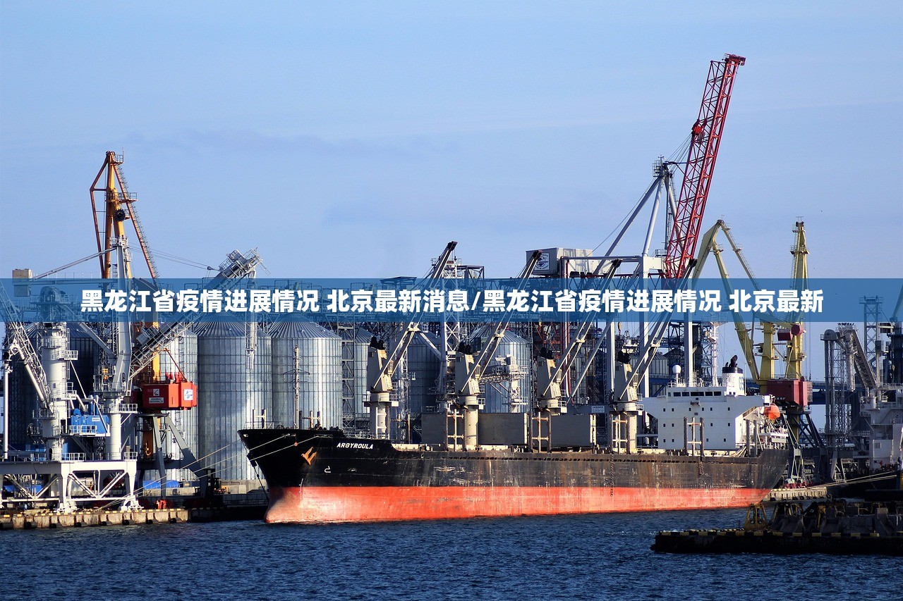 黑龙江省疫情进展情况 北京最新消息/黑龙江省疫情进展情况 北京最新