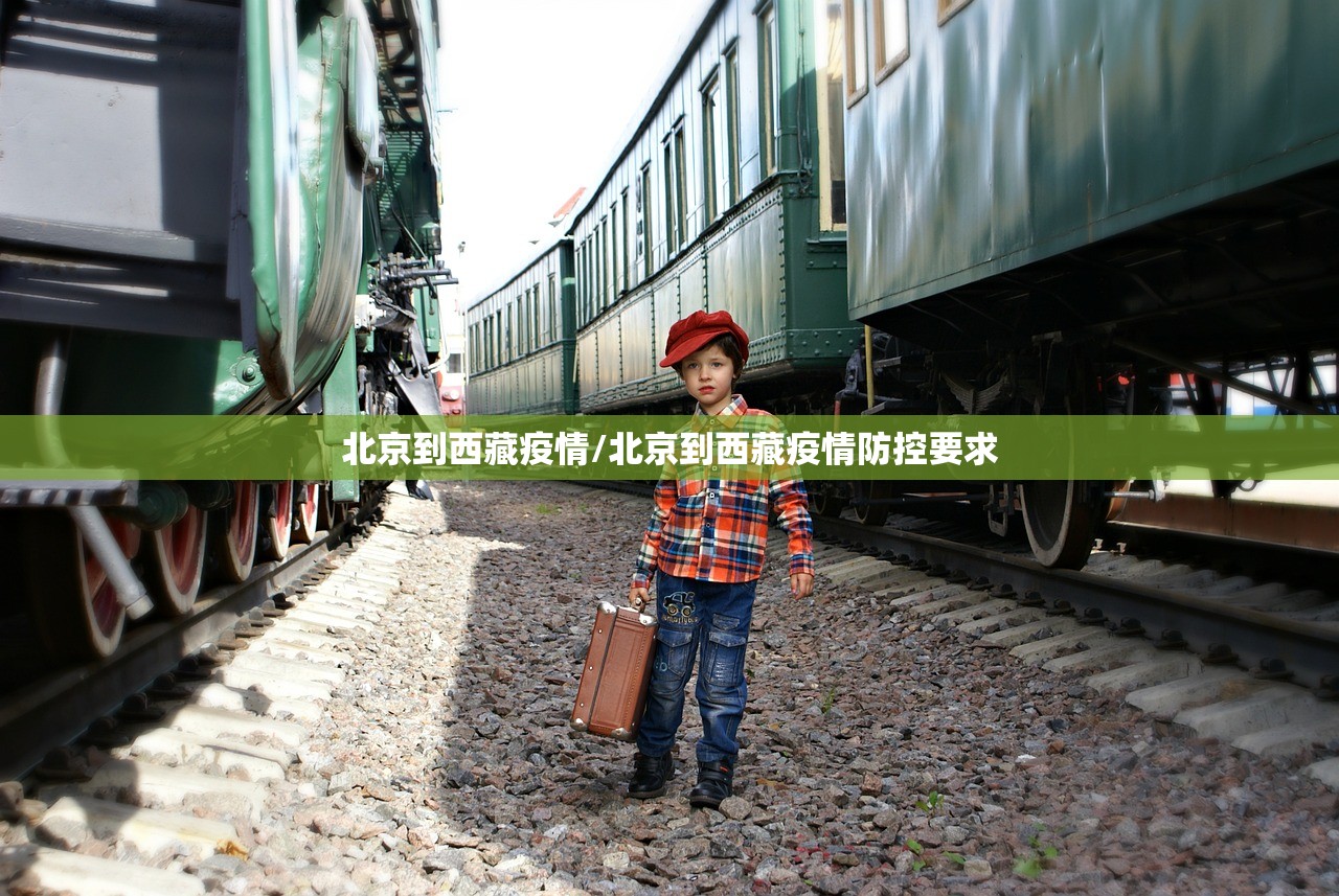 北京到西藏疫情/北京到西藏疫情防控要求