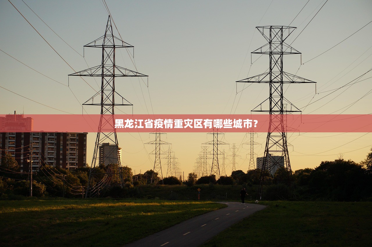 黑龙江省疫情重灾区有哪些城市？
