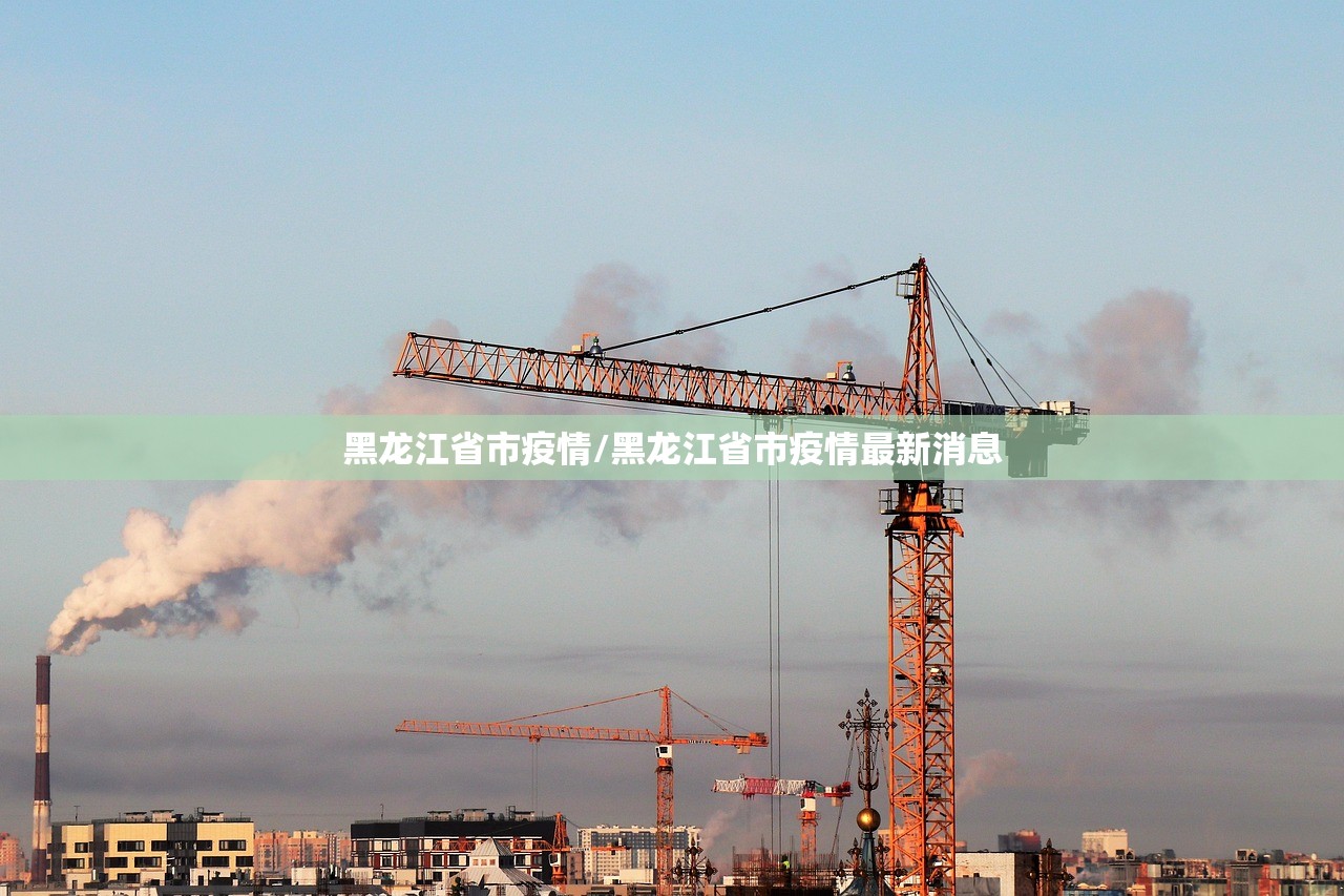 黑龙江省市疫情/黑龙江省市疫情最新消息