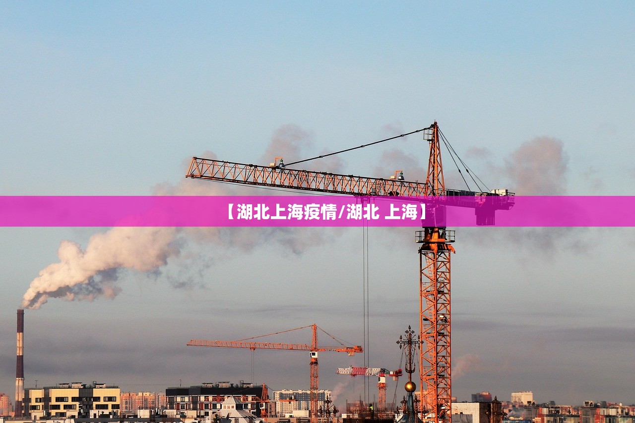 【湖北上海疫情/湖北 上海】