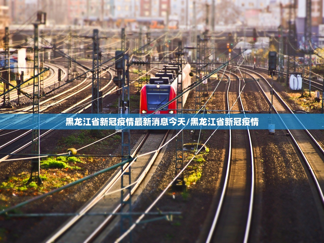 黑龙江省新冠疫情最新消息今天/黑龙江省新冠疫情