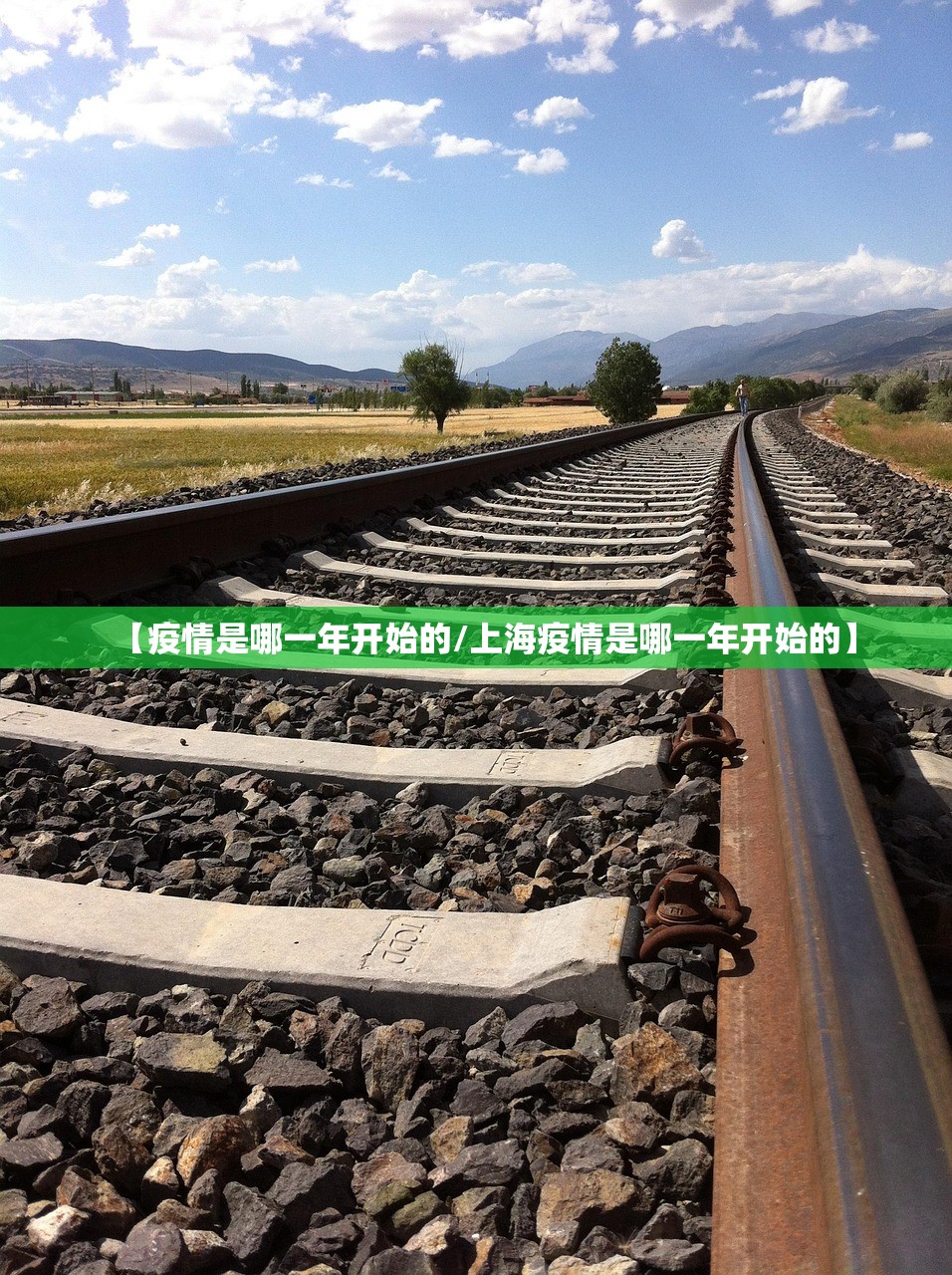 【疫情是哪一年开始的/上海疫情是哪一年开始的】