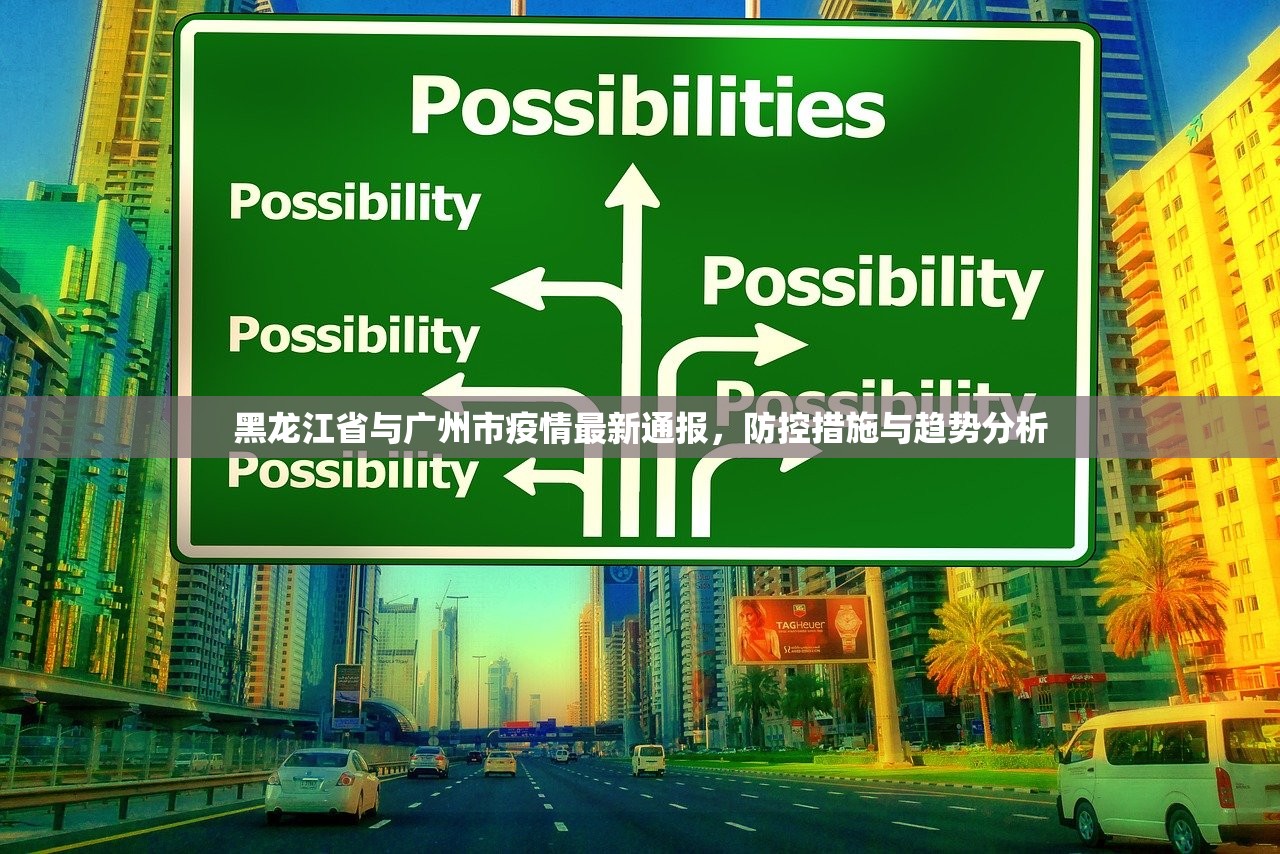 黑龙江省与广州市疫情最新通报，防控措施与趋势分析