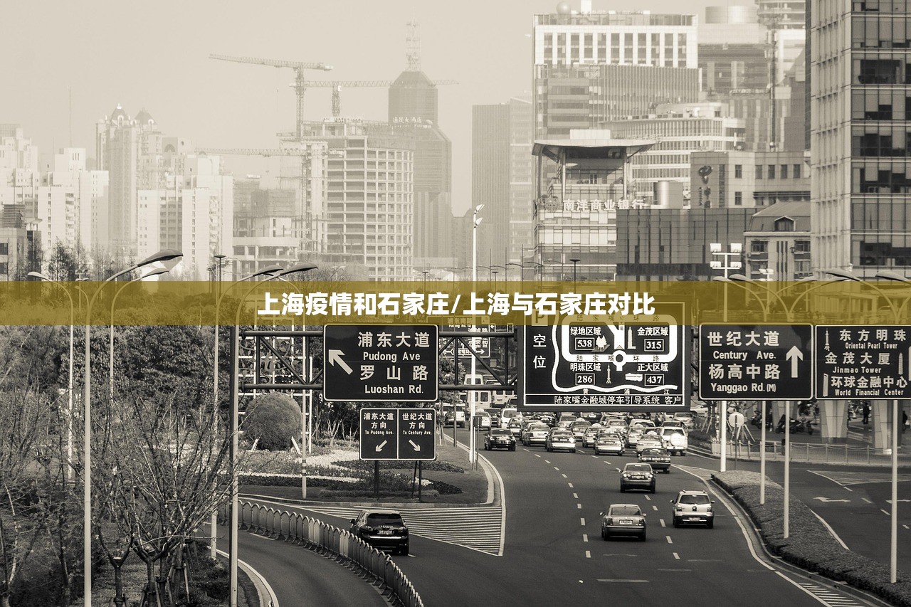 上海疫情和石家庄/上海与石家庄对比