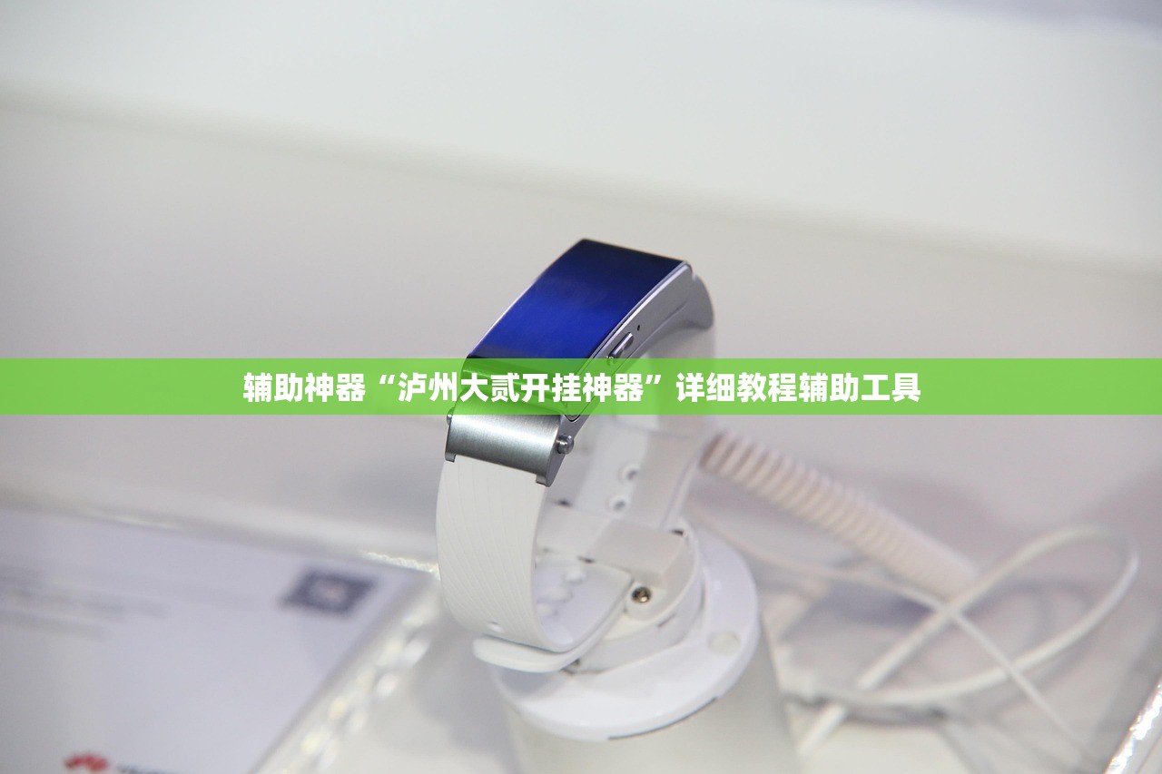 辅助神器“泸州大贰开挂神器”详细教程辅助工具