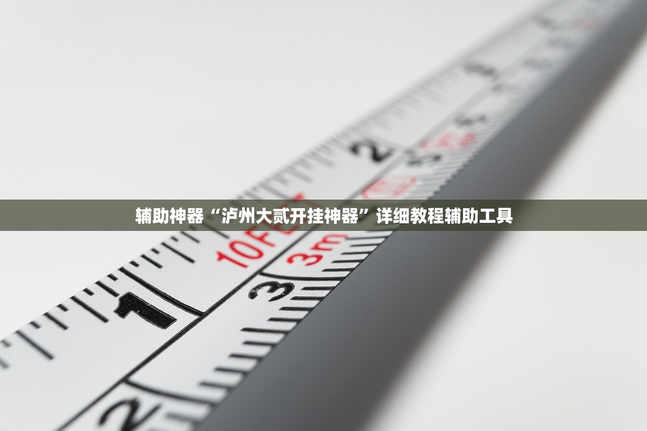 辅助神器“泸州大贰开挂神器”详细教程辅助工具