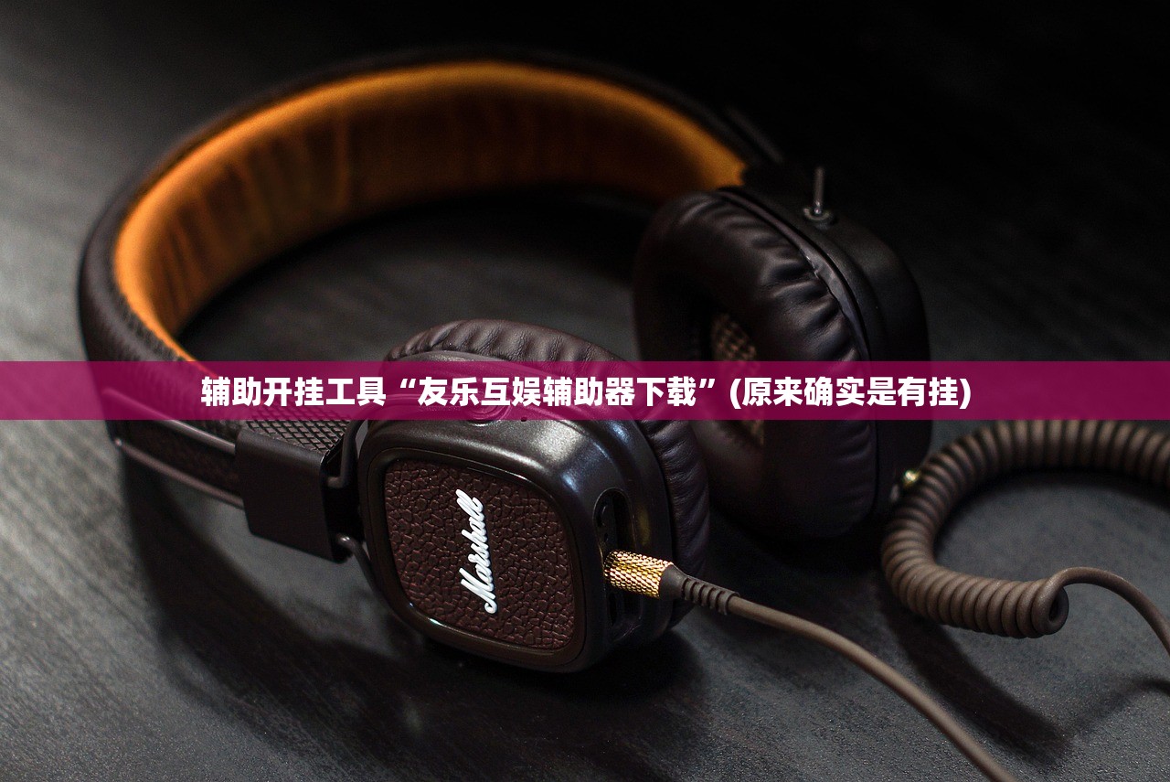 辅助开挂工具“友乐互娱辅助器下载”(原来确实是有挂)