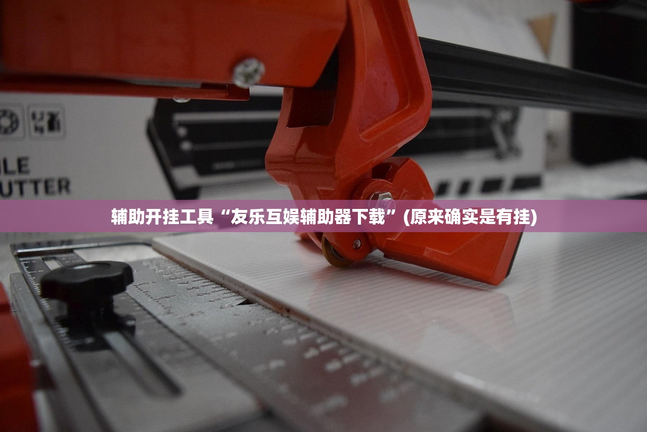 辅助开挂工具“友乐互娱辅助器下载”(原来确实是有挂)