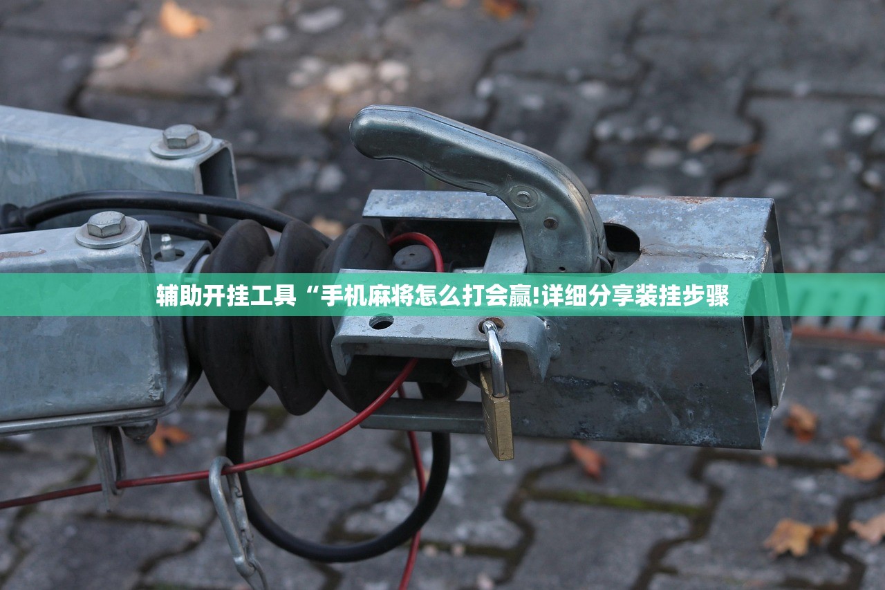 辅助开挂工具“手机麻将怎么打会赢!详细分享装挂步骤