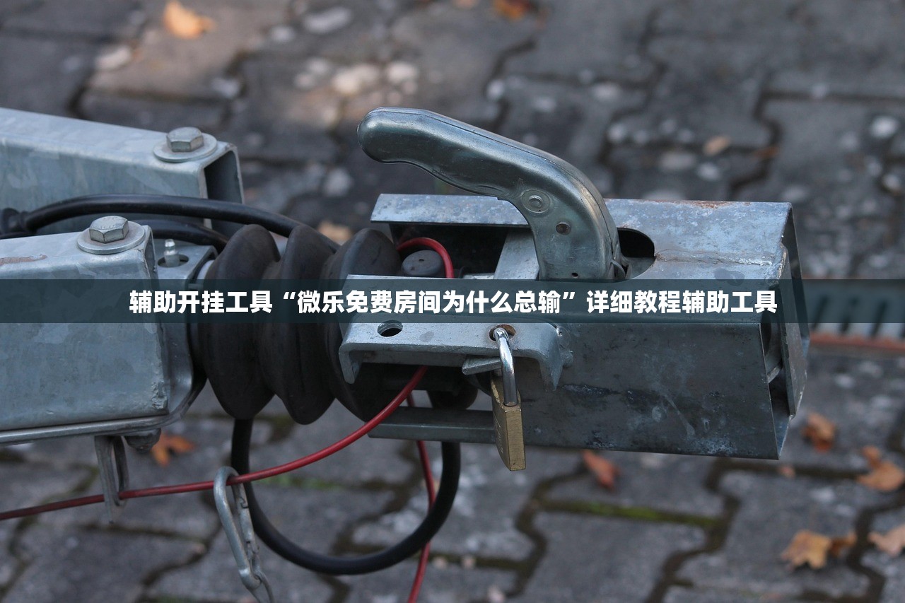 辅助开挂工具“微乐免费房间为什么总输”详细教程辅助工具