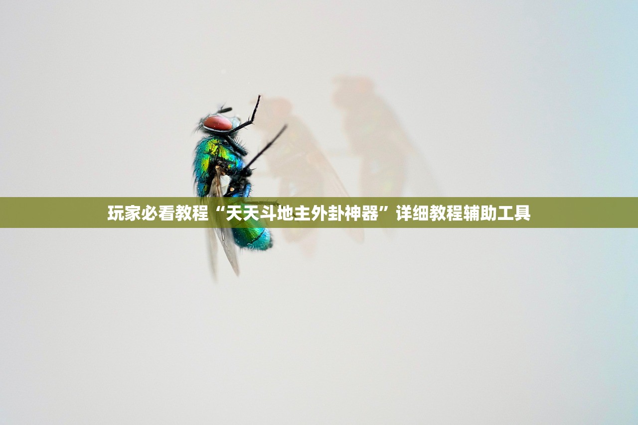 玩家必看教程“天天斗地主外卦神器”详细教程辅助工具