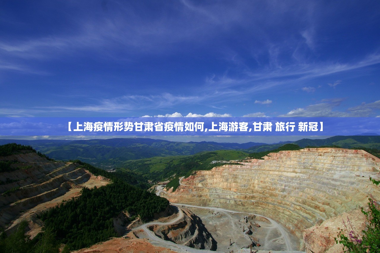 【上海疫情形势甘肃省疫情如何,上海游客,甘肃 旅行 新冠】