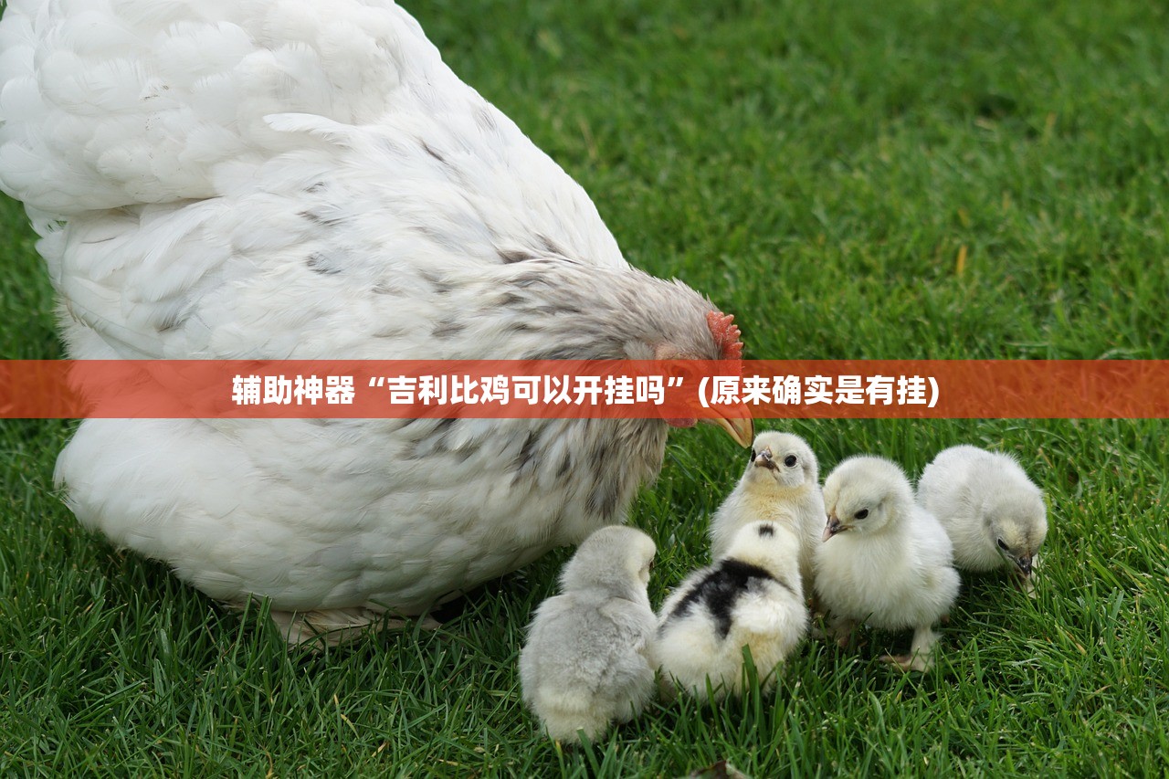 辅助神器“吉利比鸡可以开挂吗”(原来确实是有挂)