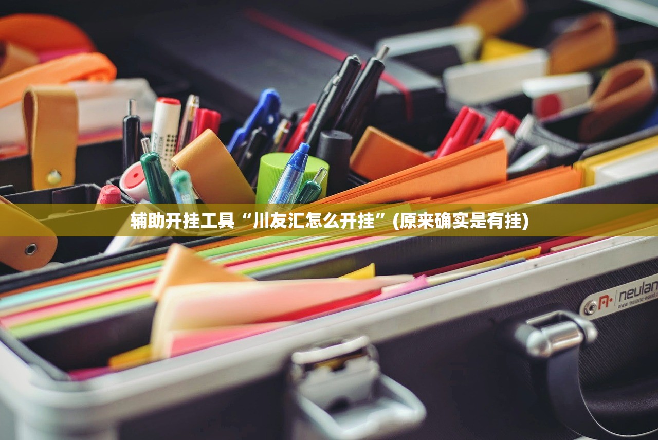 辅助开挂工具“川友汇怎么开挂”(原来确实是有挂)