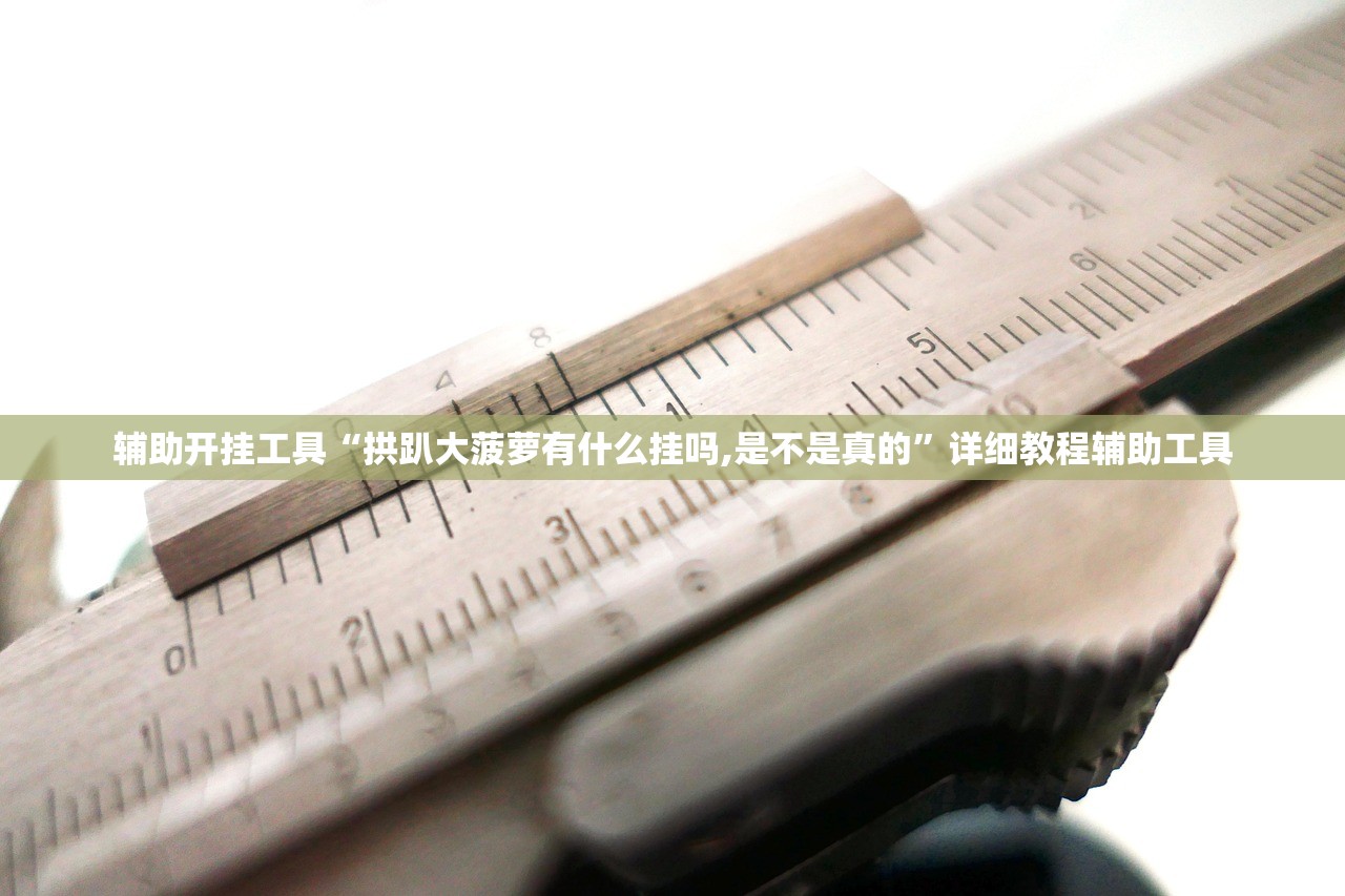 辅助开挂工具“拱趴大菠萝有什么挂吗,是不是真的”详细教程辅助工具