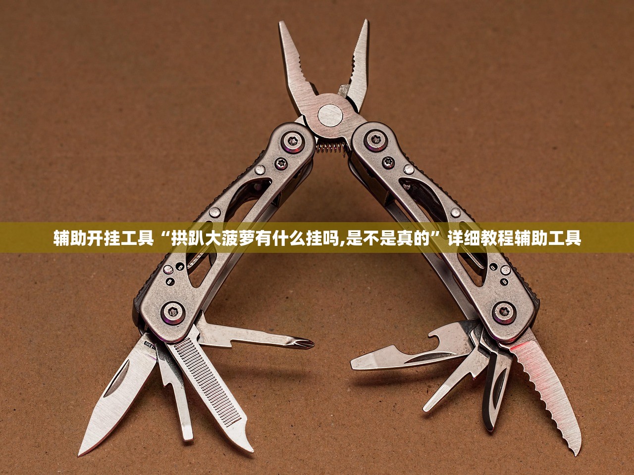 辅助开挂工具“拱趴大菠萝有什么挂吗,是不是真的”详细教程辅助工具