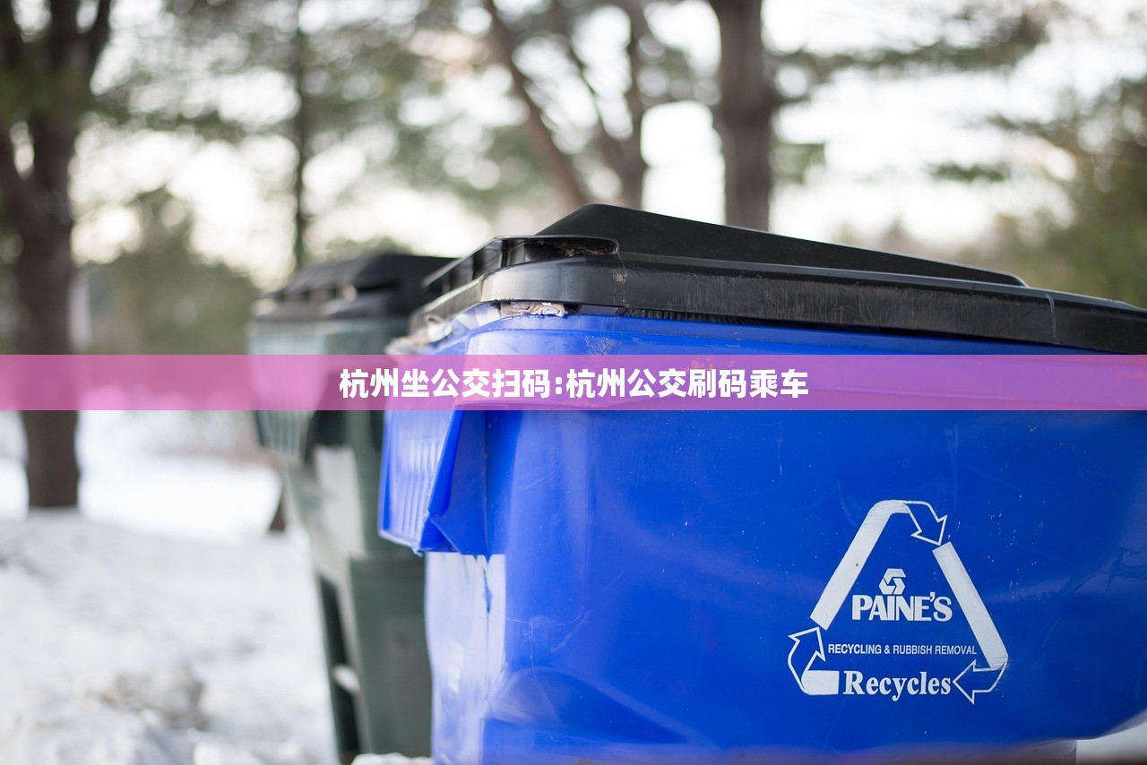 杭州坐公交扫码:杭州公交刷码乘车