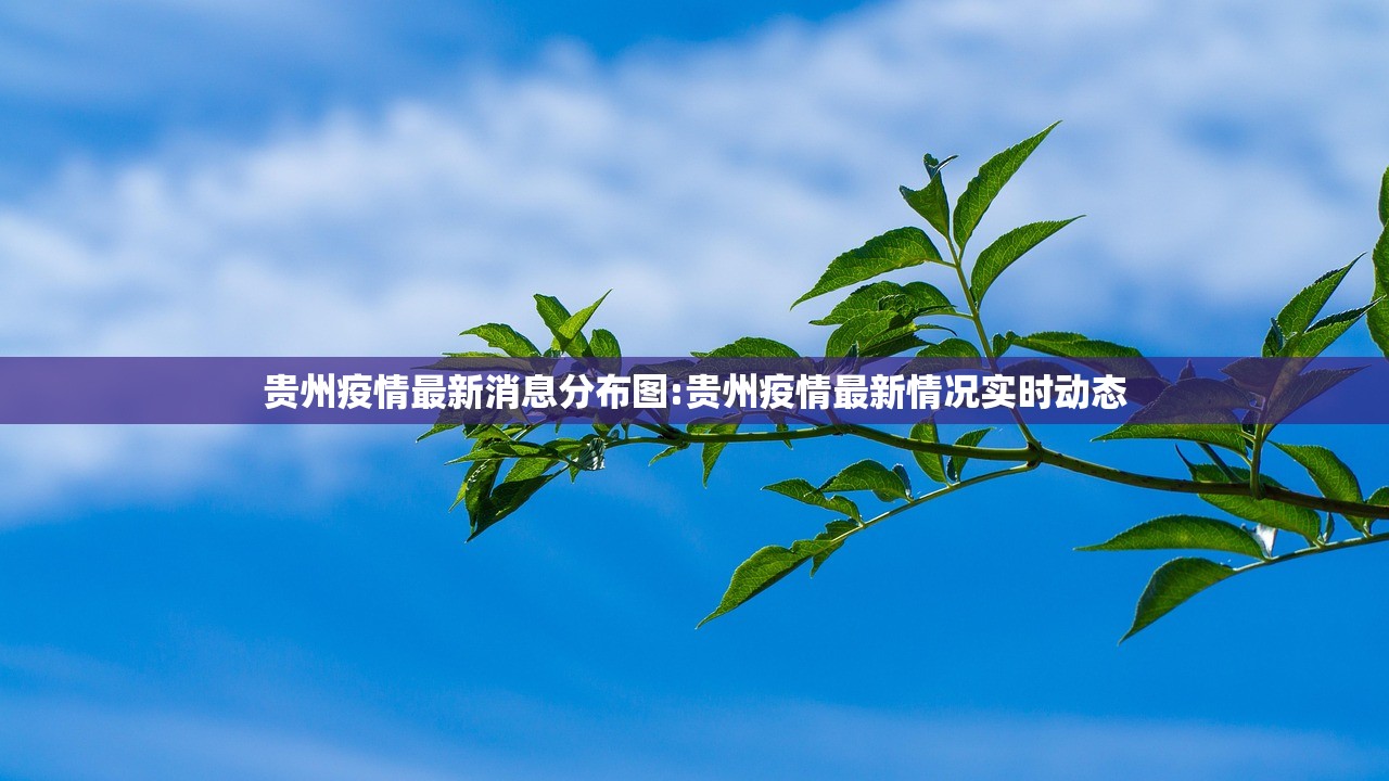 贵州疫情最新消息分布图:贵州疫情最新情况实时动态
