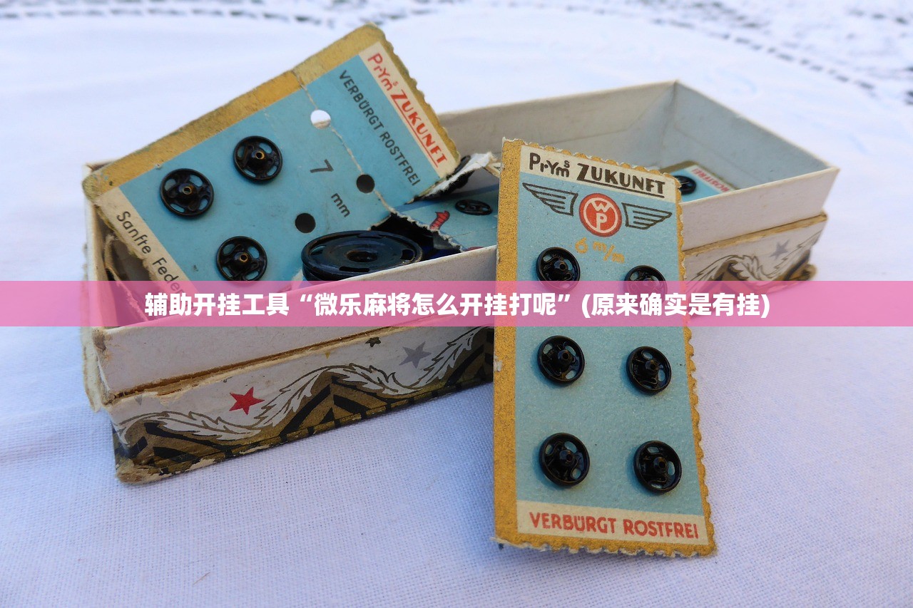 辅助开挂工具“微乐麻将怎么开挂打呢”(原来确实是有挂)