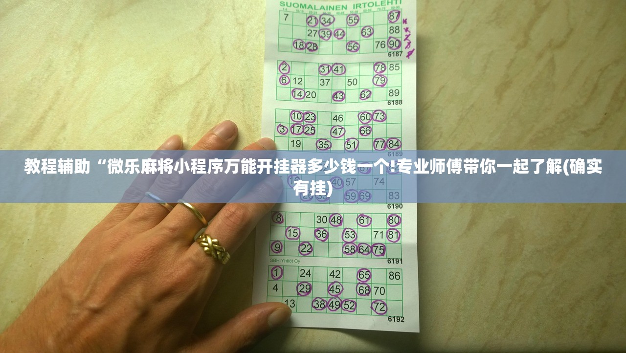 教程辅助“微乐麻将小程序万能开挂器多少钱一个!专业师傅带你一起了解(确实有挂)