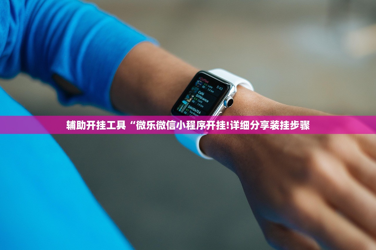 辅助开挂工具“微乐微信小程序开挂!详细分享装挂步骤