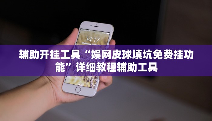 辅助开挂工具“娱网皮球填坑免费挂功能”详细教程辅助工具