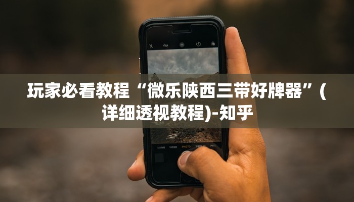玩家必看教程“微乐陕西三带好牌器”(详细透视教程)-知乎