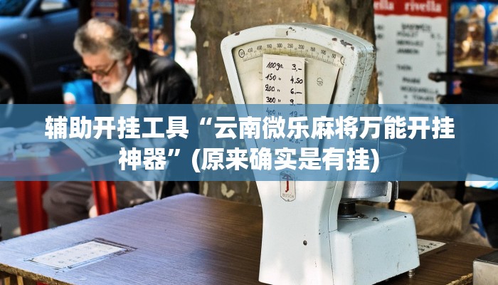 辅助开挂工具“云南微乐麻将万能开挂神器”(原来确实是有挂)