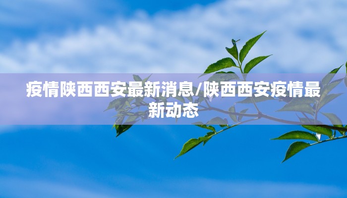 疫情陕西西安最新消息/陕西西安疫情最新动态