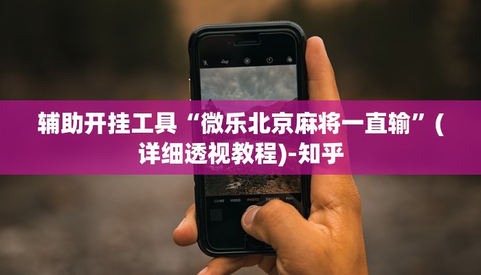 辅助开挂工具“微乐北京麻将一直输”(详细透视教程)-知乎