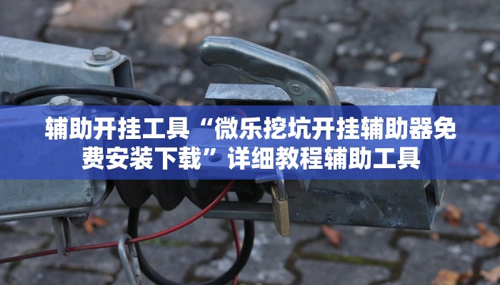 辅助开挂工具“微乐挖坑开挂辅助器免费安装下载”详细教程辅助工具