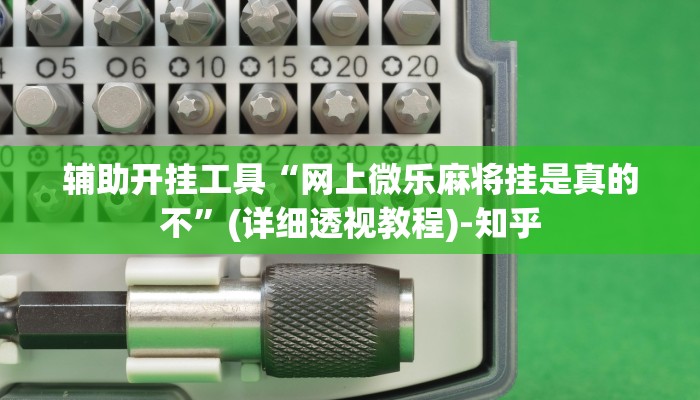 辅助开挂工具“网上微乐麻将挂是真的不”(详细透视教程)-知乎