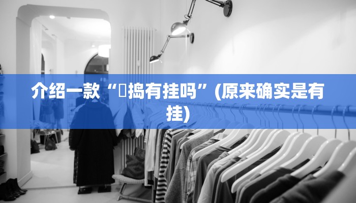 介绍一款“玙捣有挂吗”(原来确实是有挂) 介绍一款“玙捣有挂吗”(原来确实是有挂)