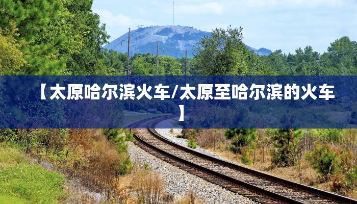 【太原哈尔滨火车/太原至哈尔滨的火车】