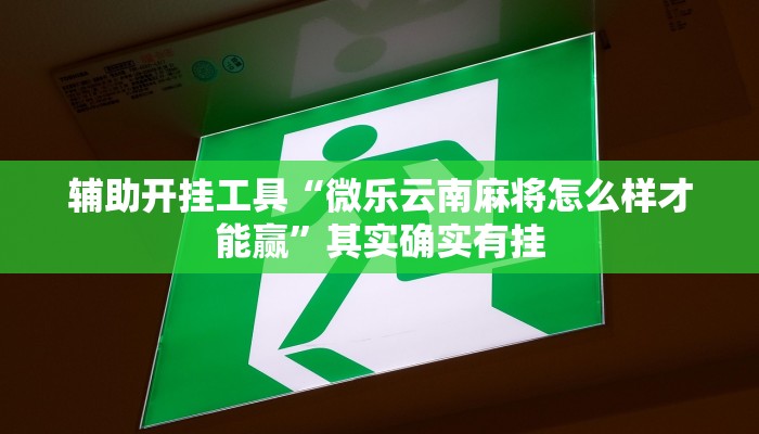 辅助开挂工具“微乐云南麻将怎么样才能赢”其实确实有挂