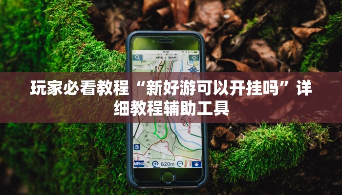 玩家必看教程“新好游可以开挂吗”详细教程辅助工具