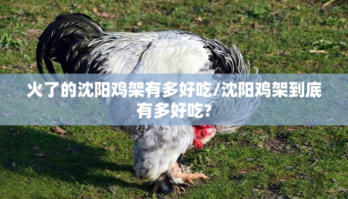 火了的沈阳鸡架有多好吃/沈阳鸡架到底有多好吃?